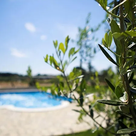 In Fa Ana Near Valbandon * Fažana