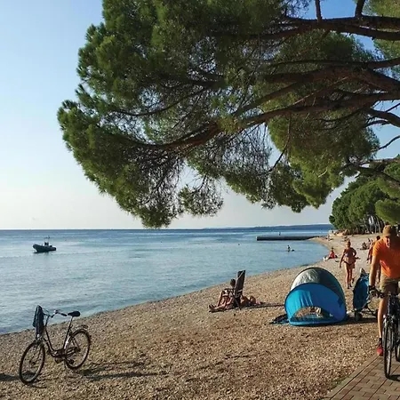 In Fa Ana Near Valbandon Appartement