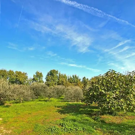 In Fa Ana Near Valbandon *