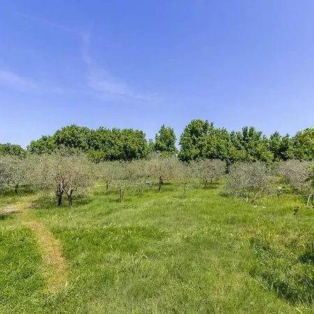 Appartement In Fa Ana Near Valbandon